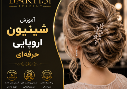 آموزش شینیون اروپایی حرفه‌ای